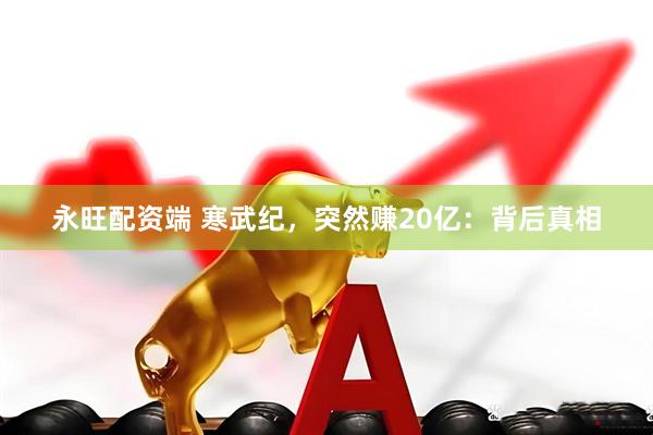 永旺配资端 寒武纪，突然赚20亿：背后真相