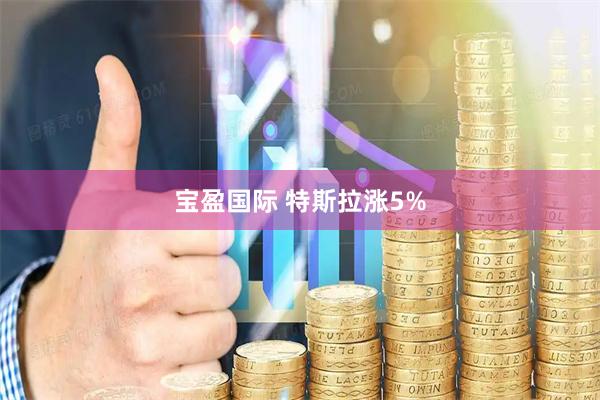 宝盈国际 特斯拉涨5%
