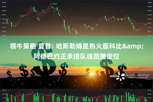 领牛策略 夏普: 哈斯勒姆是热火版科比&阿德巴约正承接队魂图腾定位