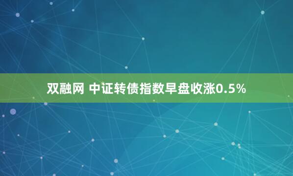 双融网 中证转债指数早盘收涨0.5%