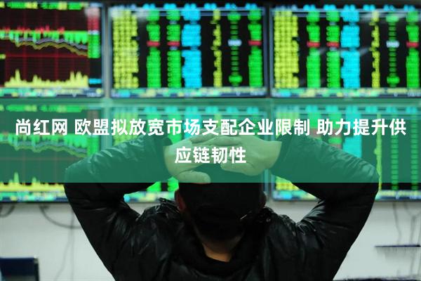 尚红网 欧盟拟放宽市场支配企业限制 助力提升供应链韧性